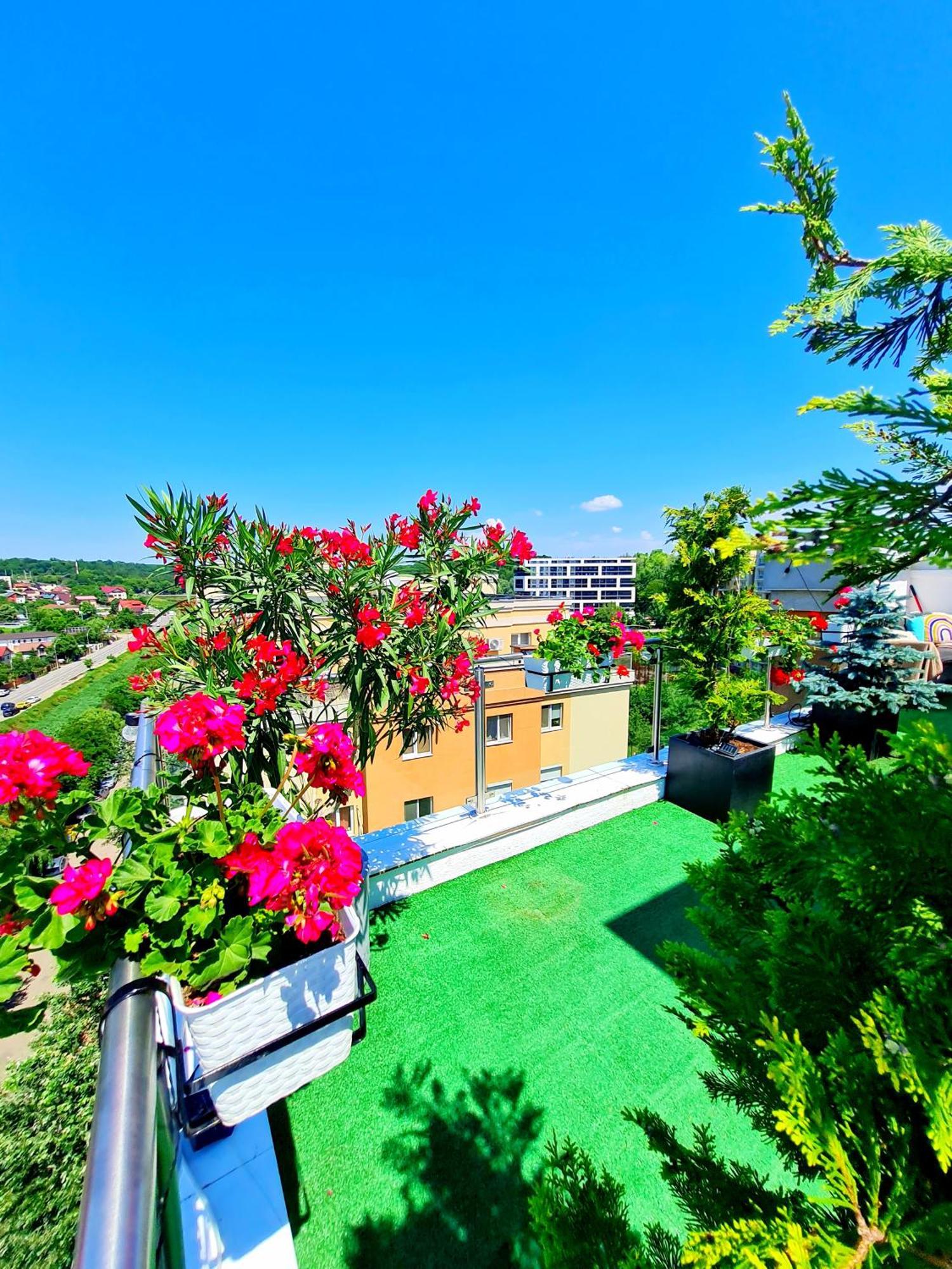 Апартаменты Penthouse View Aeroport Яссы Экстерьер фото