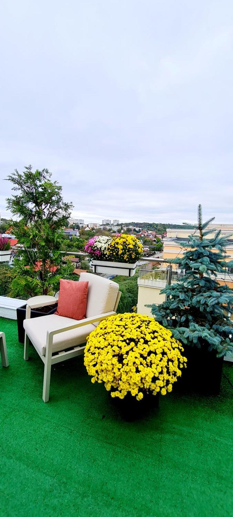 Апартаменты Penthouse View Aeroport Яссы Экстерьер фото